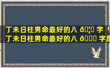 丁未日柱男命最好的八 🦍 字「丁未日柱男命最好的八 🐞 字是什么」